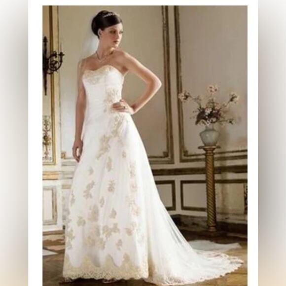 Stunning David’s Bridal Embroidered Mesh Overlay Gown! - Picture 1 of 9